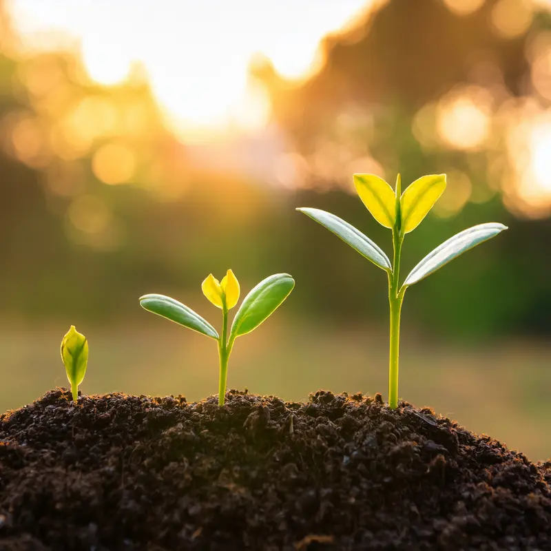 Serve & Grow
